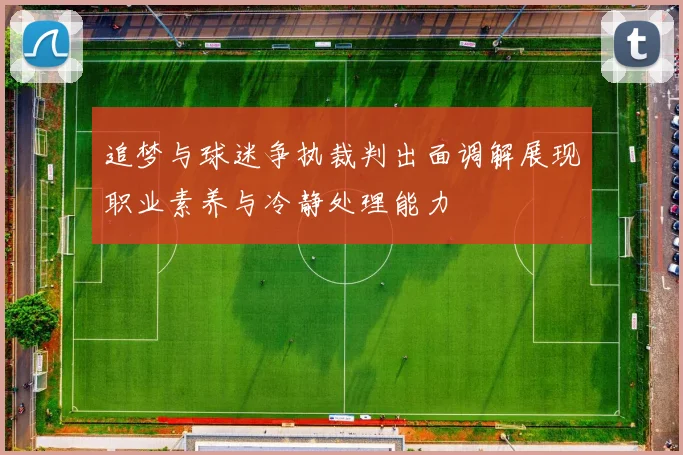 追梦与球迷争执裁判出面调解展现职业素养与冷静处理能力