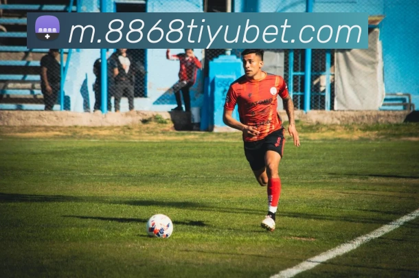 8868体育平台生态图