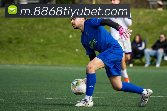 8868体育APP 封面图